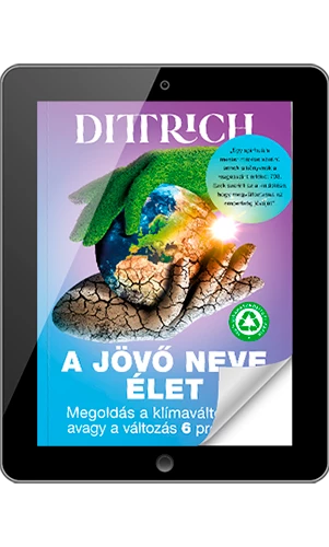 E-book